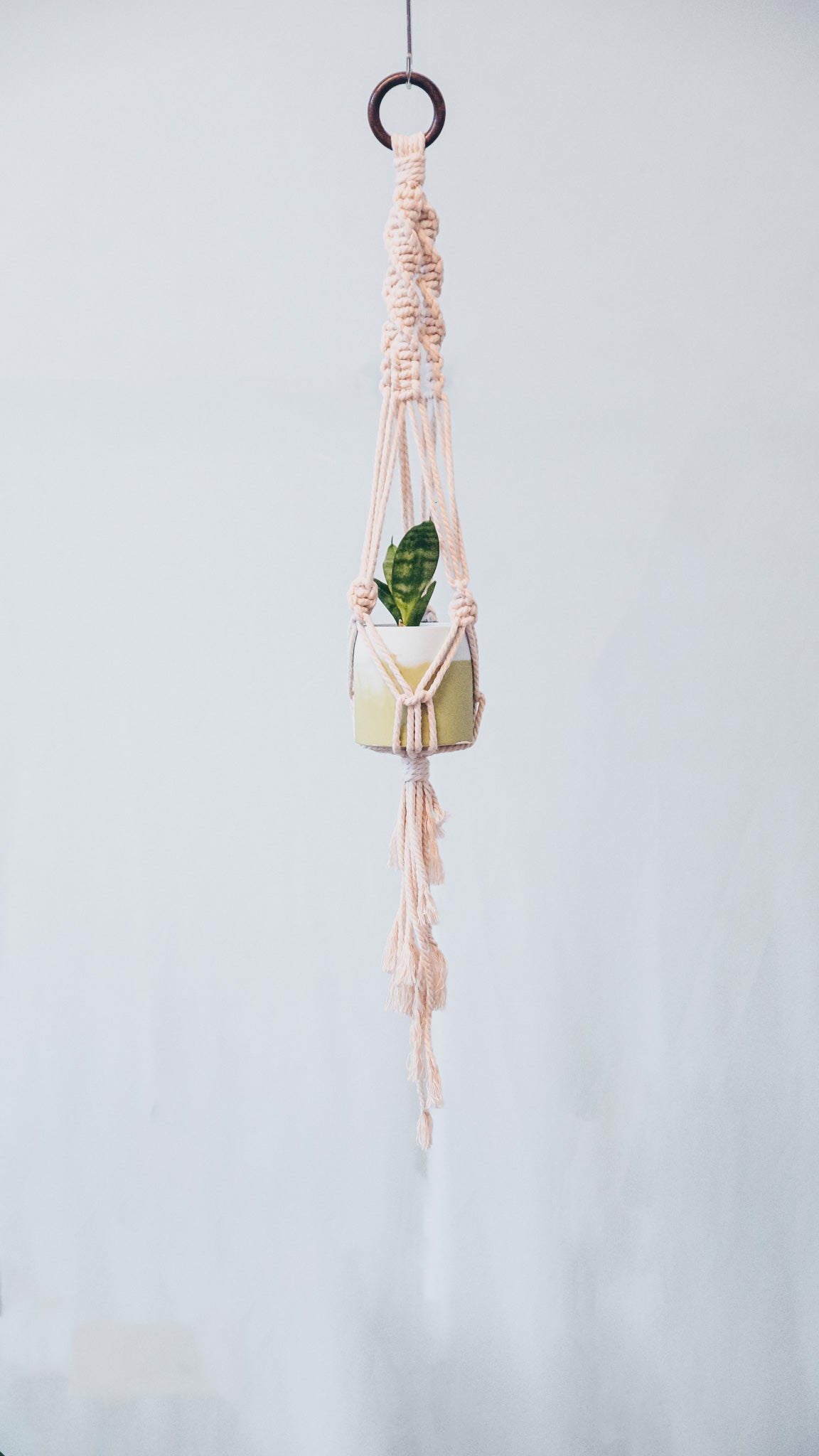 Little by Little - by Little Lady Recycled cotton mini plant hanger 'Lolo'