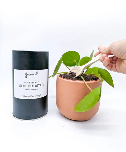 House Plant Soil Booster